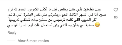 تعليق عميلة 1 — A313